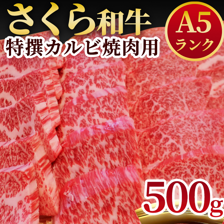 A5さくら和牛特撰カルビ焼肉用500ｇ≪肉 焼肉 国産牛 グルメ≫◇