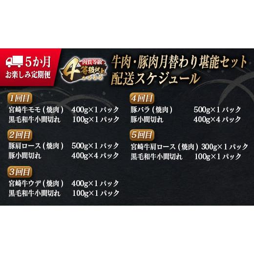 ふるさと納税 宮崎県 日南市 5か月 お楽しみ 定期便 牛肉 豚肉 月替わり 堪能 セット 総重量5.6kg 肉 牛 豚 国産_I25-23-A