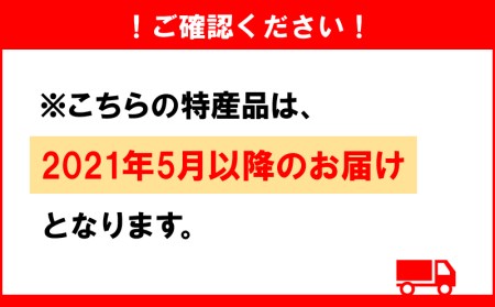 宮崎完熟マンゴー1玉(都城産)_MJ-3301_(都城産) 宮崎マンゴー A等級 1玉入り (2Lサイズ～3Lサイズ)  果物 フルーツ 化粧箱 宮崎県産(都城産)で産地直送 冷蔵