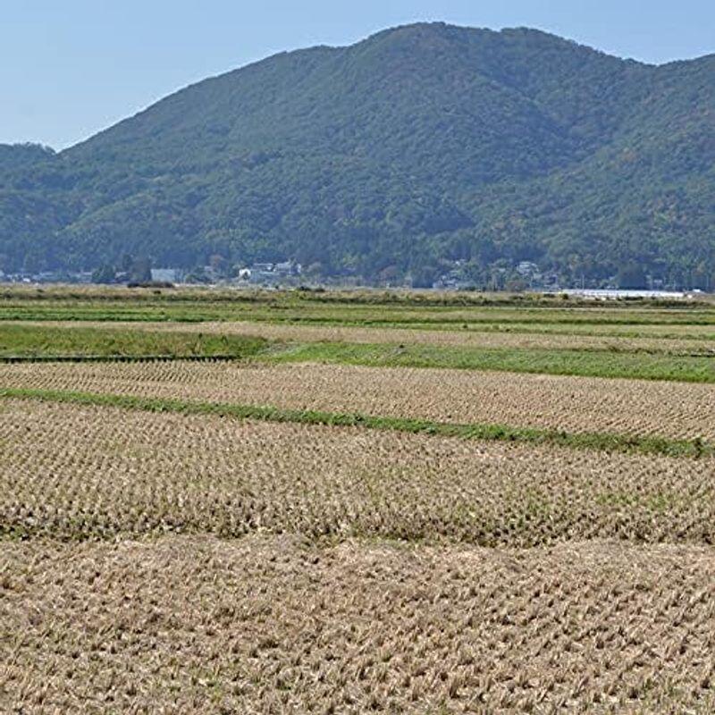 魚沼産こしひかり 5kg新潟県米・コシヒカリ産地直送