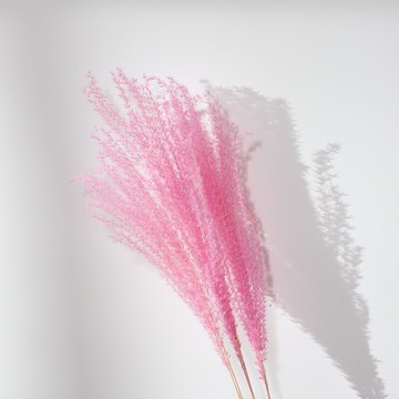 星樂花坊干花拂塵蘆葦蒲葦粉色少女心咖啡店擺件1入