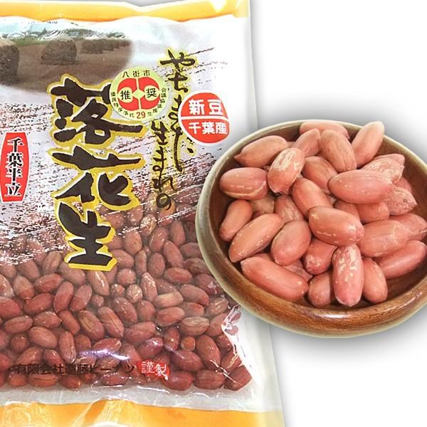 2023年度産 新豆 味付落花生（千葉半立）200g 千葉県八街産落花生