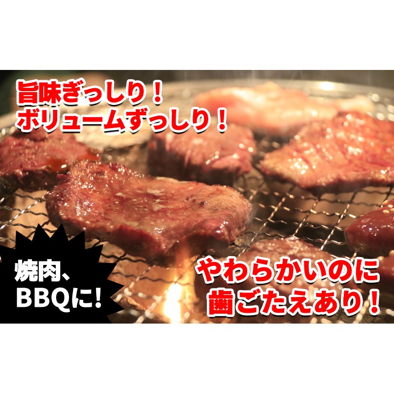 010B432 秘伝の赤タレ漬け牛ハラミ肉 1.2kg（400g×3） 通販 LINEポイント最大4.0%GET | LINEショッピング