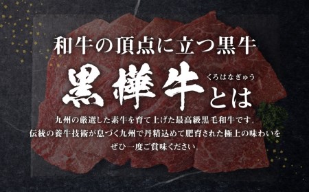 くまもと黒毛和牛 杉本本店 黒樺牛 A4～A5等級 モモステーキ 100g×10 計1kg