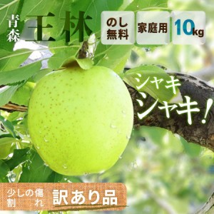 りんご 王林 10kg （約32玉～46玉入り）2023年産 青森県産りんご ご家庭用 訳あり 産地直送 工藤農園