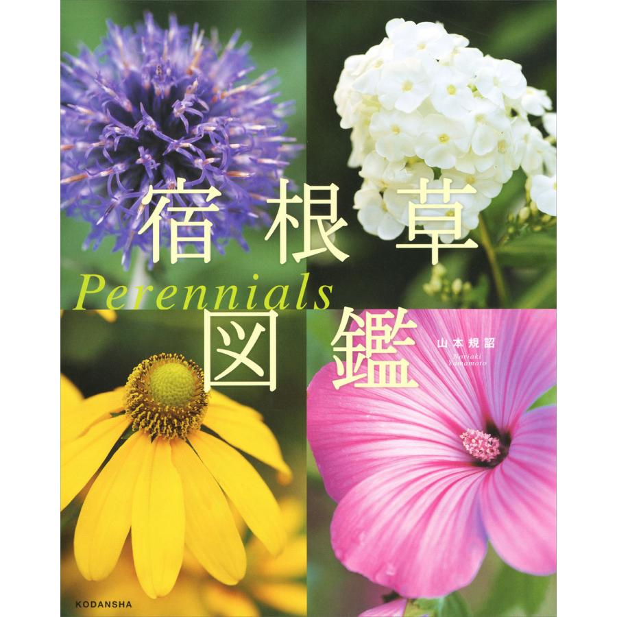 宿根草図鑑 Perennials