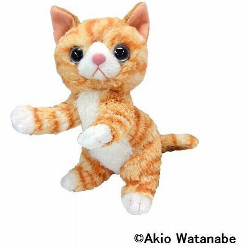 いっしょがいいね ぬいぐるみビーンズ 2sサイズ トラ猫 ぬいぐるみ 通販 Lineポイント最大0 5 Get Lineショッピング
