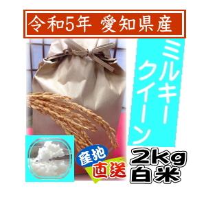 新米 白米 ミルキークイーン 2kg 令和5年産 愛知県産