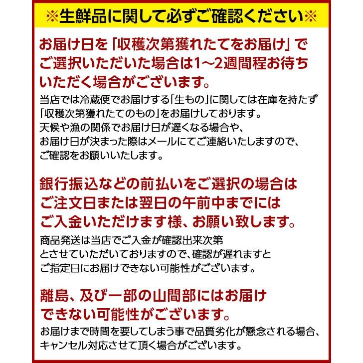 りんご リンゴ 林檎 北海道余市産 3kg 11-12玉入り　秀品・品種：ふじ　 送料無料