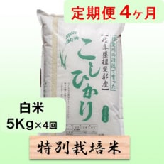 4ヶ月特別栽培米5Kg(コシヒカリ)全4回