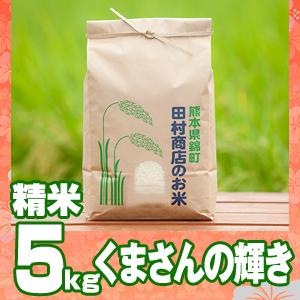 5年産　熊本県産くまさんの輝き白米5kg