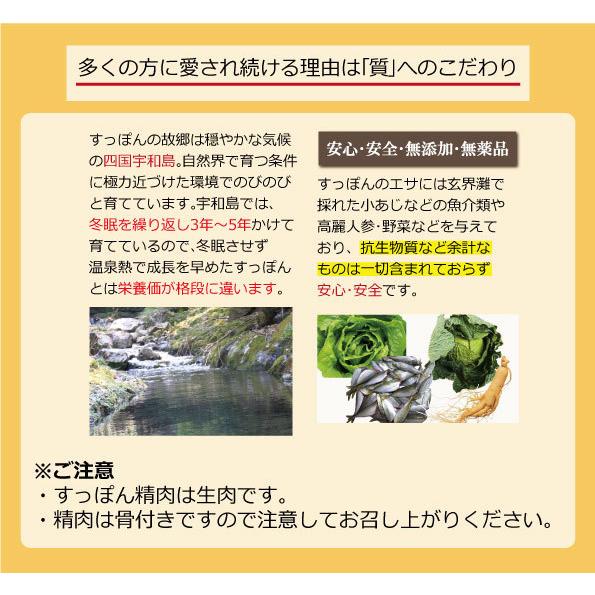  おいしいすっぽん鍋（甘口） 愛媛 産地直送 お鍋 すっぽん 雑炊 おいしい お手軽 鍋セット グルメ 濃厚たれ 甘口