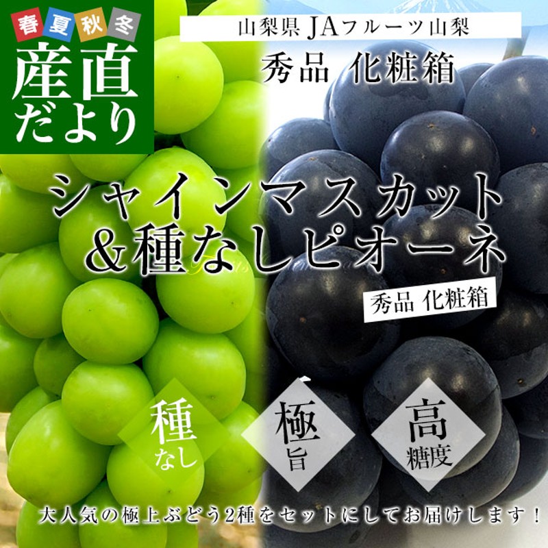 山梨県より産地直送 JAフルーツ山梨 シャインマスカット＆種なし ...