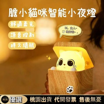 【限時下殺✨】膽小貓咪小夜燈 睡眠牀頭聲控燈 臥室牀頭擺件 觸摸聲控 治癒系 可愛硅膠夜燈 可愛貓咪睡眠燈 朋友禮物