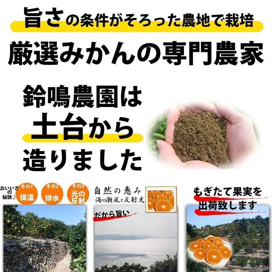  みかん はっさく 八朔 5kg 訳あり 大特価 ブランド 和歌山みかん オレンジ フルーツ 果物