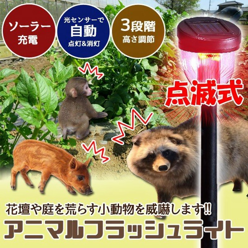 動物撃退器 猫よけ ソーラー 害獣 害獣駆除 害獣対策 小動物 Led ソーラーライト ポールライト 3段階調節 防雨 イタチ ガーデニング 家庭菜園 庭 花壇 通販 Lineポイント最大0 5 Get Lineショッピング