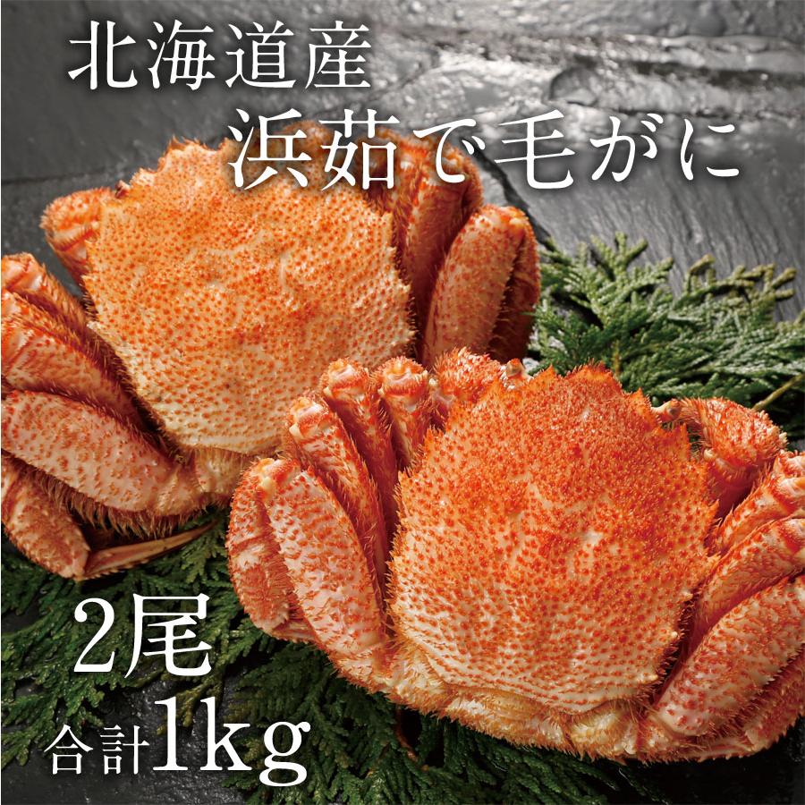 本日クーポンで10％OFF 北海道産 毛ガニ 浜茹で毛蟹 ギフト 500g 2尾 蟹 海鮮 お歳暮 御歳暮 冬ギフト オホーツク海産 ボイル毛ガニ 送料無料