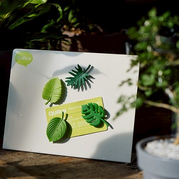 QUALY｜熱帶派對-磁鐵