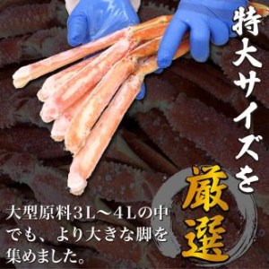 ズワイガニ ハーフポーション 特大サイズ 1.8kg ボイル・カット済み＜福岡市製造＞