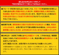 安心・安全の熊本県御船町産 厳選8品目 安心・安全の新鮮野菜セット 《30日以内に順次出荷(土日祝除く)》