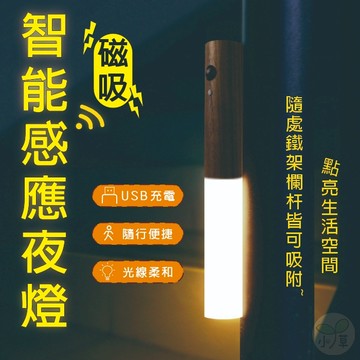 🔥隔日到貨🔥智能小夜燈 手持/磁吸夜燈 壁掛感應燈 床頭燈 照明燈 氛圍燈 磁吸智能感應夜燈 原木感應燈 人體感應夜燈