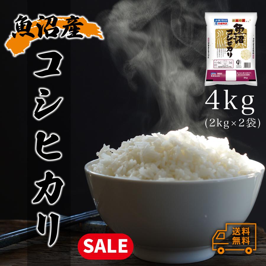 米 お米 4kg 新潟 魚沼産 コシヒカリ 白米 4キロ 令和4年産 送料無料 2kgx2袋 こしひかり 精米 送料無料