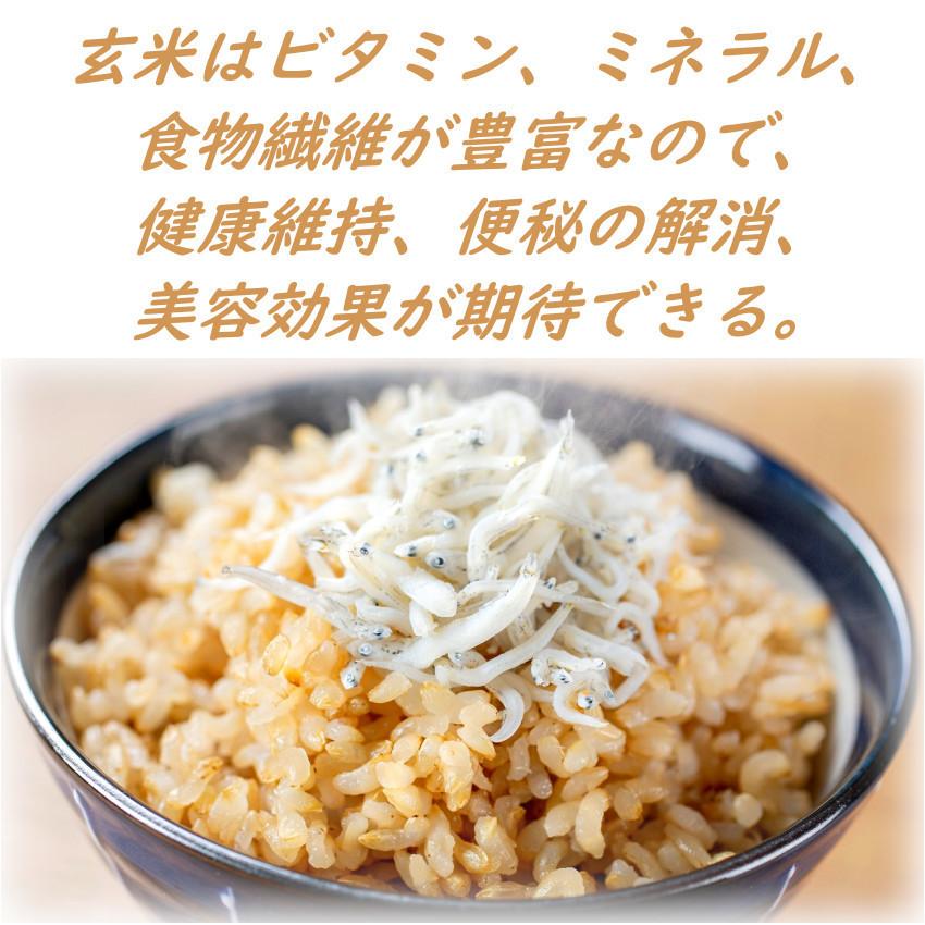 玄米 2kg もち玄米 無洗米 送料無料 お試し 国内産 米 2キロ