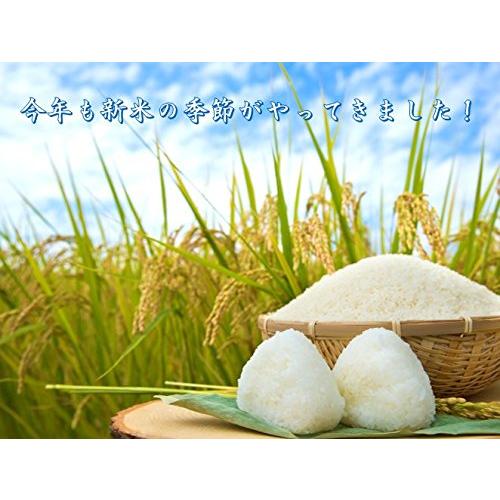  山形県産 はえぬき 新米 令和5年産 5kg 「市場に出回らない、隠れた美味を是非。」