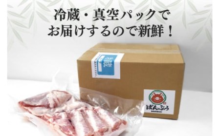 ブランド豚「ばんぶぅ」豚バラブロック1本 ばんぶぅ 豚肉 豚バラ肉 ブロック肉 しゃぶしゃぶ 焼き肉 豚バラ 真空パック しゃぶしゃぶ肉 焼肉用 ブタ肉 国産 茨城県産 ギフト プレゼント 冷蔵 高級部位 ブランド豚 ４２－Ｄ