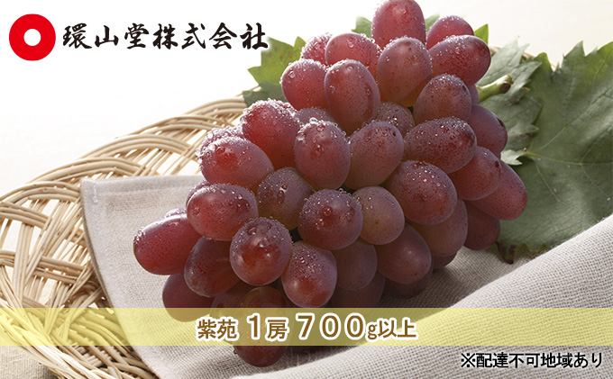 ぶどう 2024年 先行予約 冬 紫苑 1房 700g以上 ブドウ 葡萄  岡山県産 国産 フルーツ 果物 ギフト 環山堂