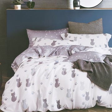 Prawear 巴麗維亞 加大6尺 40支100%萊賽爾天絲兩用被床包4件組  床包 + 兩用被套 + 薄枕套2個  加大  仰星星