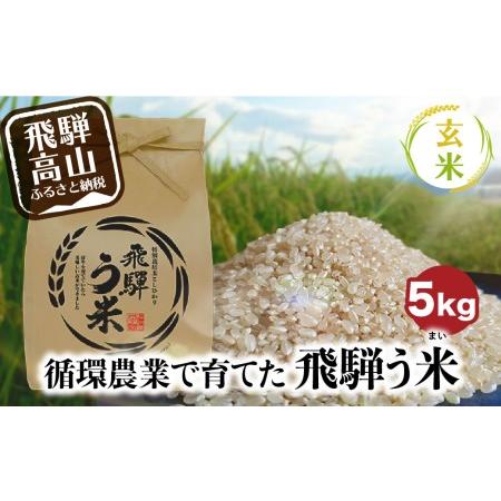 ふるさと納税 新米 ”飛騨う米” 玄米 5kg 有機肥料100％ 米 お米 受賞米 米コン3年連続特別優秀賞受賞米 令和5年度産 TR3201  岐阜県高山市