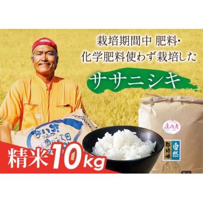 ふるさと納税 山形県 山形県庄内産 栽培期間中肥料・化学肥料不使用で栽培した ササニシキ精米10kg