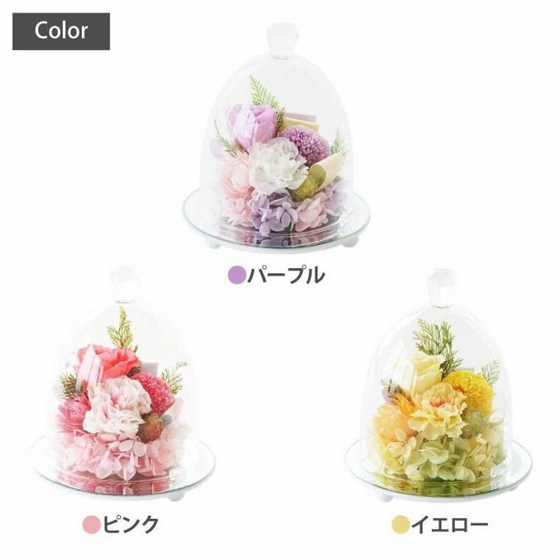 ペット お盆 初盆 お供え ガラスドーム 虹の橋 お悔やみ 花
