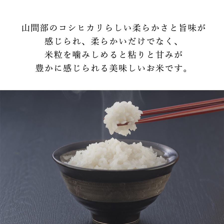 新米 米 お米 10kg こしひかり 新潟県 栃尾産 玄米 10キロ お米マイスター おすすめ 令和5年度 コシヒカリ 米10kg 5kg×2袋 選べる 精米 3分 5分 7分 白米