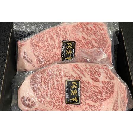 ふるさと納税 佐賀牛サーロインステーキ 250g×2枚(合計500g) 牛肉 ステーキ BBQ アウトドア 「2023年 令和5年」 佐賀県唐津市