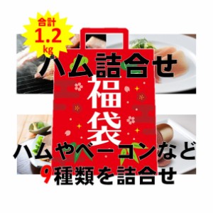 福袋 ベーコン ハム 送料無料 札幌バルナバハム 福袋ハム詰め合わせセット 福袋セット 詰合せ セット　詰合せ ウインナー 生ハム 焼く