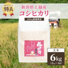 令和5年 新潟上越産「標高480mの山間地で育てた棚田米コシヒカリ」玄米6kg