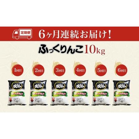 ふるさと納税 北海道 定期便 6ヵ月連続6回 木古内産 ふっくりんこ 10kg 特A 精米 米 お米 白米 北海道米 道産米 ブランド米 ごはん ご飯 ふっ.. 北海道木古内町