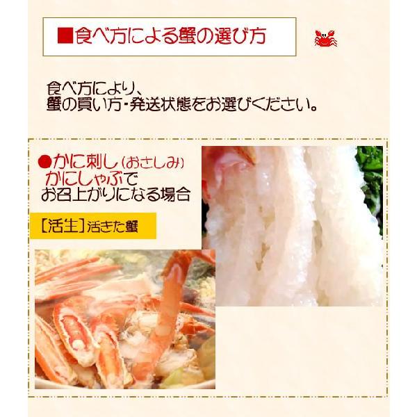 （送料無料）足１本落ち・松葉がに　特大　1.0-1.2kg前後　タグ付き（浜坂産）（松葉ガニ 松葉蟹 松葉かに）（わけあり 訳あり）