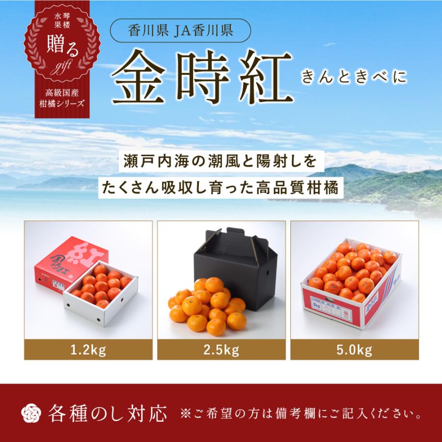 (12月上旬頃より発送) 香川県産 金時紅みかん 秀品 S〜Lサイズ 1.2kg 化粧箱入り みかん 香川 フルーツ お歳暮 ギフト