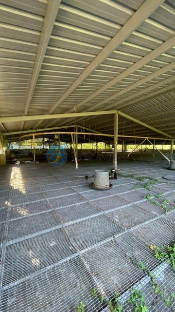 平鎮中庸段合法畜牧場及大地坪都內農地｜桃園市平鎮區中庸段