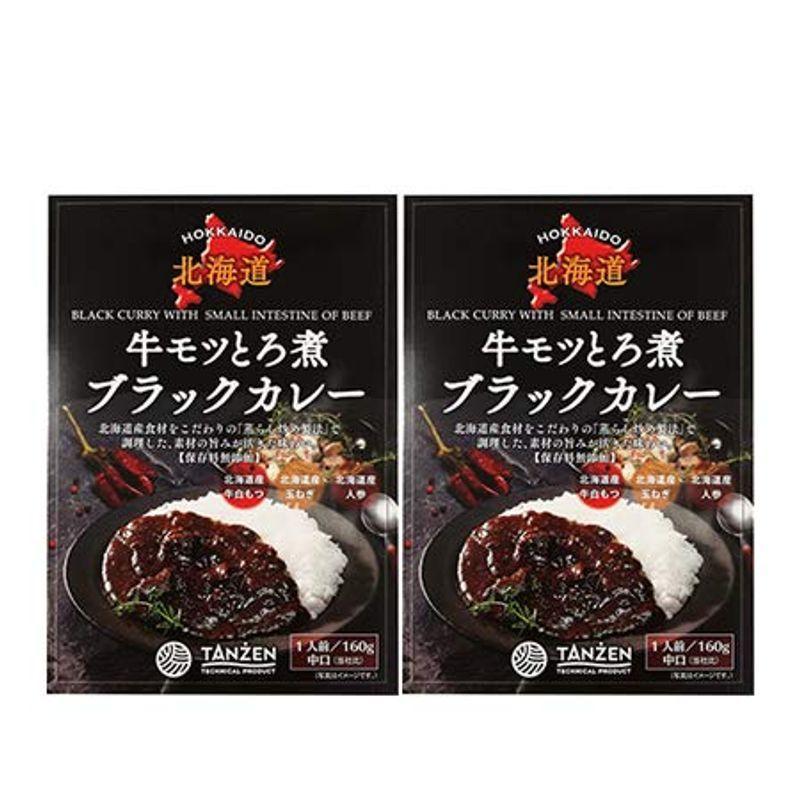 牛もつ カレー レトルト 牛モツ とろ煮 ブラック カレー 中口 160g × 2個 北海道産 牛 もつ カレー