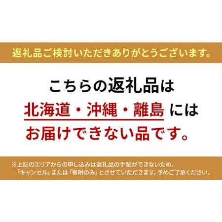 ふるさと納税 おぶせのたまご20個 長野県長野市