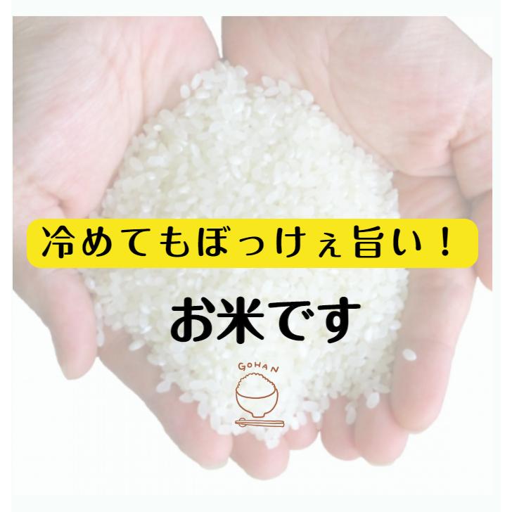 お米 10kg 白米 送料無料 令和5年産入り ぼっけぇ米 10kg（2kg×5袋）オリジナルブレンド 国産 脱酸素剤入り チャック付 精米※北海道・沖縄の方は別途送料加算