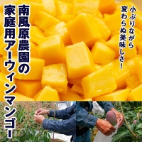 南風原農園　家庭用アーウィンマンゴー2kg