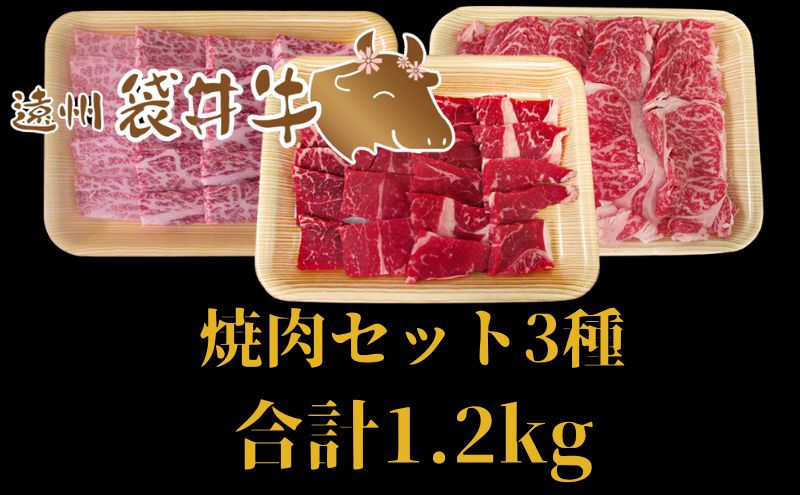 稀少！遠州袋井牛 焼肉セット 3種 計1.2kg 贅沢 ヘルシー  料理 グルメ 肉 BBQ アウトドア 人気 厳選 袋井市