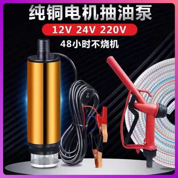 免運A🔥抽水加油 抽油泵 直流抽油泵 12v電動直流柴油 24v電動抽油泵 加油槍 柴油 電動小型抽油泵 油抽子 潛