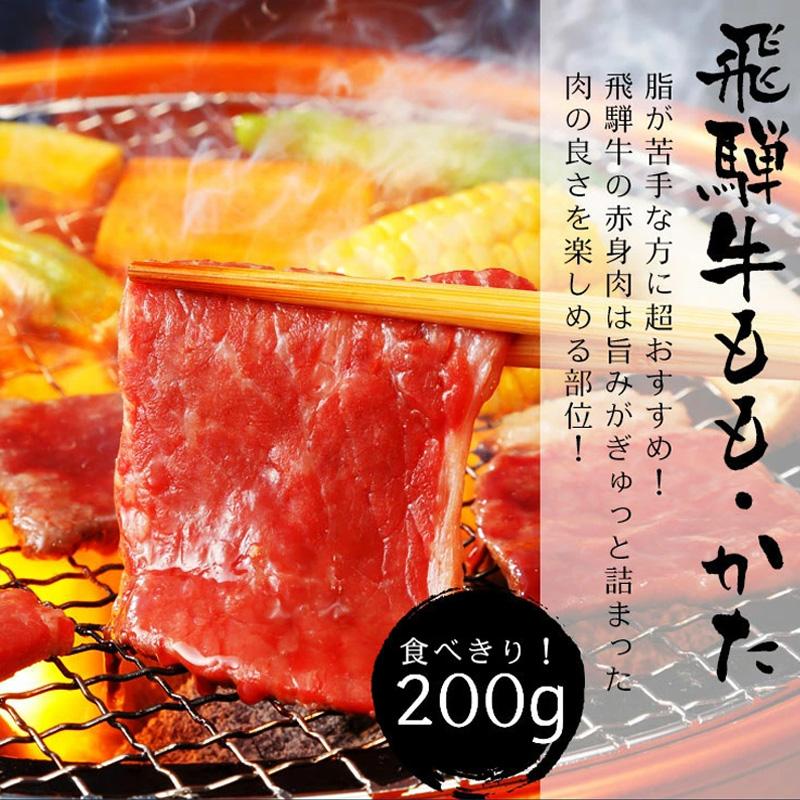 肉  福袋  牛肉 焼肉セット 1kg 飛騨牛 国産豚肉  バーベキュー バーベキューセット 約4〜5人前 黒毛和牛 焼肉 お取り寄せグルメ