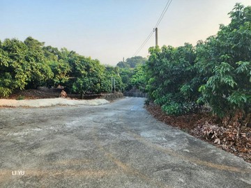 大樹【姑山倉庫】漂亮農地｜高雄市大樹區三和段
